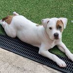 Maxine Armstrong  - @maxxiinnee70 - Instagram