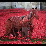 Maxine Atherton - Facebook
