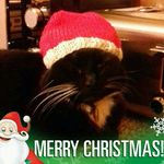 Max - @maxine_barker - Instagram