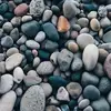 Maxine Barron - @maxine.barron4 - TikTok