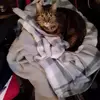 Maxine Baxter - @maxine.baxter2 - TikTok