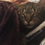 Maxine - @_maxine_the_bean_ - Instagram