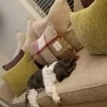 Maxine Bean - @maxineb83 - Instagram