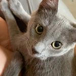 Maxine Castleberry-Backman - @maxine.the.best.bean - Instagram