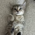 Maxine Sparkle Bean - @msparklebean - Instagram