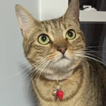 Maxine the bean - @maxi_beans - Instagram