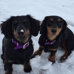 MaxineBean - @otislovesmaxine - Instagram