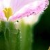 Maxine Beatty - Facebook