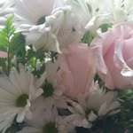Maxine Berg - @maxineberg31 - Instagram