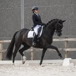Maxine Van Berghen - @dressage.maxinevanberghen - Instagram