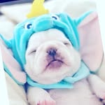 Maxine❤😎😋🤗🐴🦄🐎🐶🌹🌺⚘🌼🌸💐🌷 - @biggsmaxine44 - Instagram