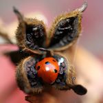 Maxine B Photography - @maxinebirdphotography - Instagram