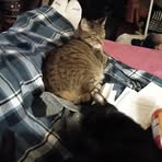 Maxine Bird - Facebook