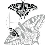Maxine Bird - @mbirdbodyart - Instagram