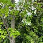 Maxine Bowen - @maxinebowen1205 - Instagram