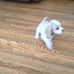 Maxine Bowen - Facebook