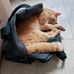 Maxine Rowsell Bowers - Facebook