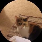 Maxine Brewer - @brewermaxine_64 - Instagram