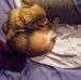 Maxine Brewer - Facebook