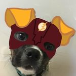 Buggz Lee And Sadie Maxine - @bugg_and_sadie_michelangelo - Instagram