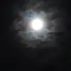 Maxine Burke - @maxine.burke0 - TikTok