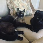 @maxine4860butcher - Instagram