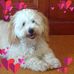 Maxine Chadwick - Facebook
