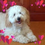 Maxine Chadwick - @maxinechadwick655 - Instagram