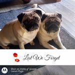 Maxine Chambers - @maxine.chambers.9 - Instagram