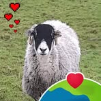 Maxine Collier - Facebook