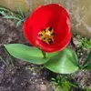 maxine collier - @maxine.collier7 - TikTok