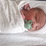 Maxine Collins - @maxinekerryknight - Instagram