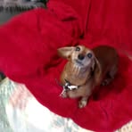 Maxine Collins - Facebook