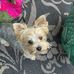 Maxine McKey Compton - Facebook