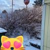 LiamConnor MaxineRose Agmata - @liamconnor.maxine - TikTok
