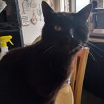 maxine cooke - @butterflypalm10 - Instagram