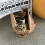 Kerry maxine crow - @kerrymcrow - Instagram