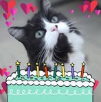 Maxine Crowe - Facebook