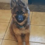 Maxine Crowson - Facebook