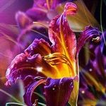Maxine Daniels - @mdaniels1940 - Instagram