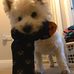 Maxine Dean - Facebook