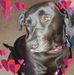 Maxine Diamond - Facebook