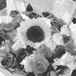 Maxine Diaz - @maxine_dohyun - Instagram
