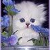 Maxine Dickerson - Facebook
