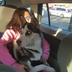 Maxine - @maxine_the_doge - Instagram