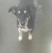 Maxine Doherty - Facebook