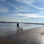 Maxine ‘Malton’ Donovan - @donovansdoggydaycare - Instagram