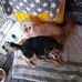 Maxine Dowel - Facebook