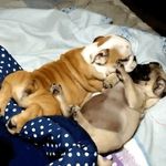 Louise Doyle - @louise.maxine.doyle - Instagram