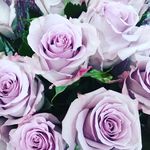 Laura Edmond - @laura.edmond.maxines.florist - Instagram